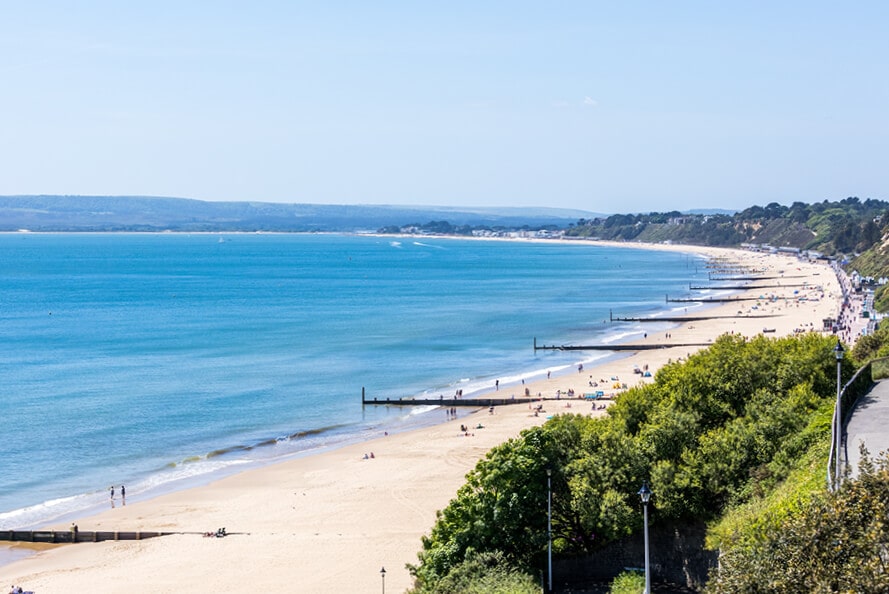 Activities - The Nici