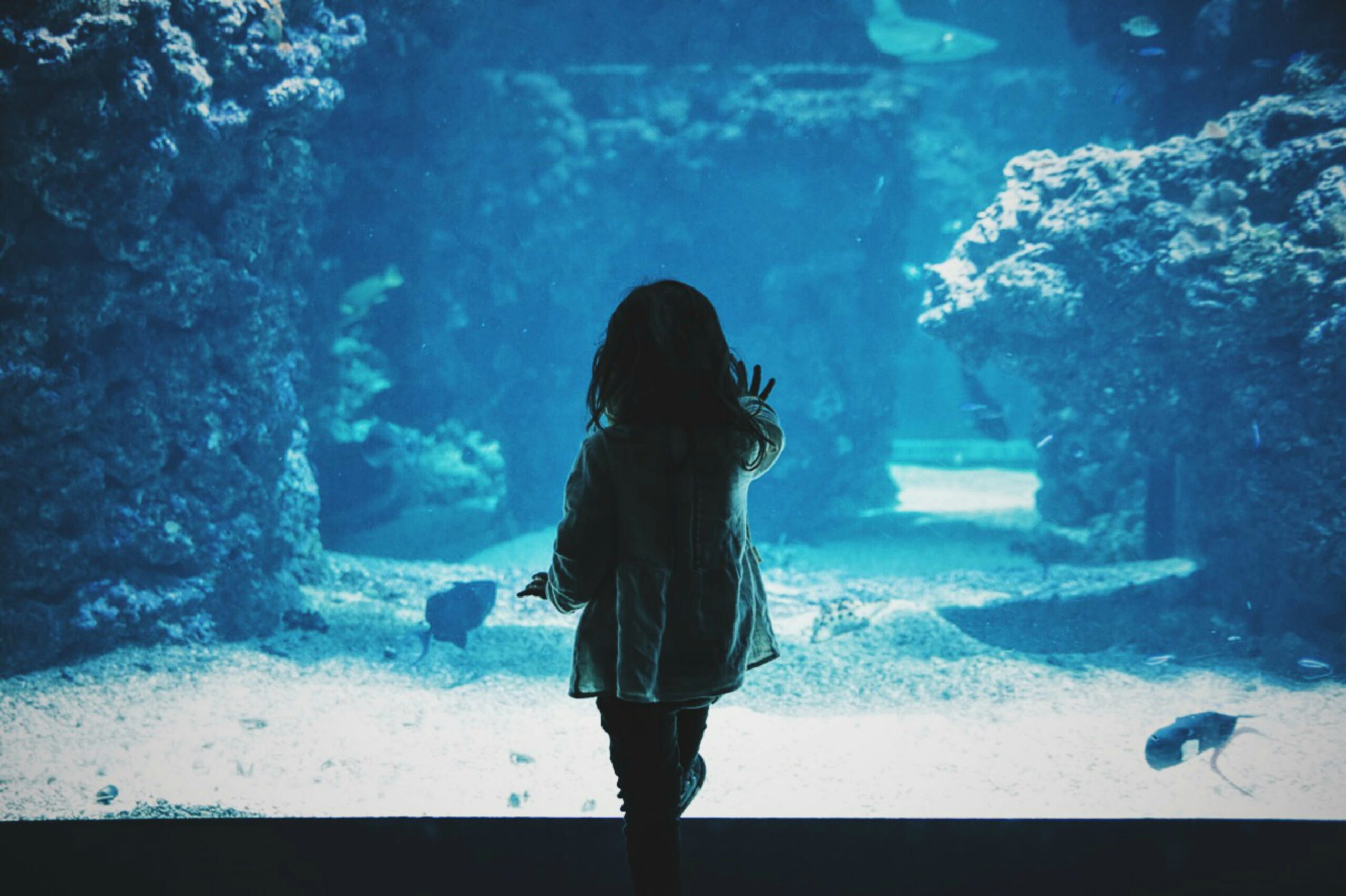 Girl watching fish in aquarium